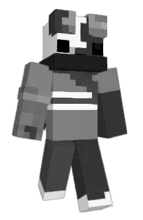 Front of 5wrd's skin