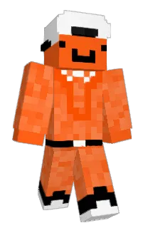 Front of Vilmerized's skin