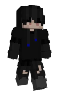 Front of BirdInterior's skin