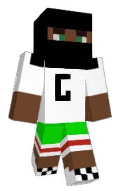 Skin preview