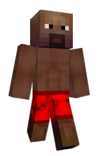 postduifgamer12's Minecraft skin