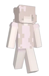 Front of pouca's skin