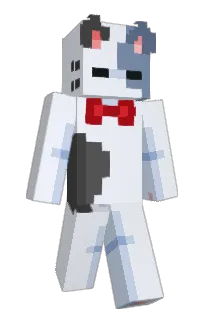 Front of Fizxi's skin