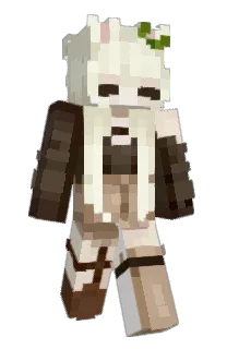 Front of Wasaabean's skin
