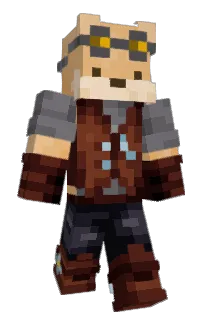 Front of DavidandRocket's skin