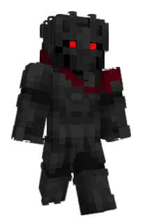 Front of entyter's skin