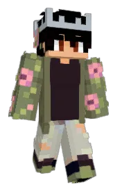 Skin preview