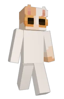 Front of renesofia's skin