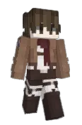 RayFR_