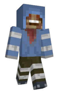 Front of Remissnut's skin
