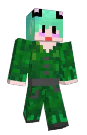 Skin preview