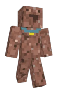 Front of superskinsley's skin