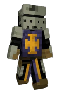 Front of spoun's skin