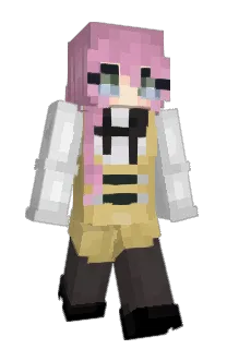 Front of soroniiii's skin