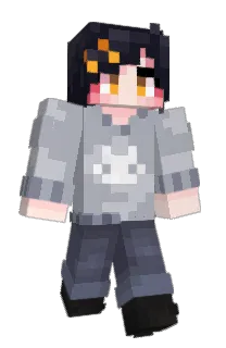 Front of zircat's skin