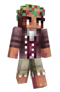 Front of Pingas's skin