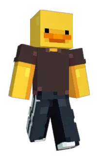 Front of jerenasi's skin