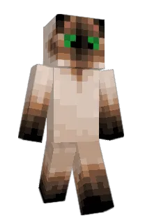 Front of hibenji's skin