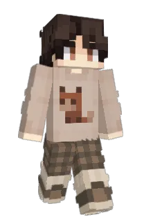 Front of Polaris_N's skin