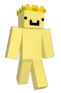 Front of yellowfr's skin
