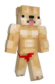 Front of Minecraft skin