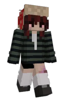 Front of Minecraft skin