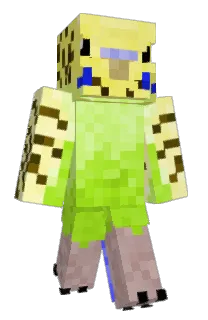 Front of Abyss04's skin