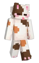 okCat's Minecraft skin wearing the Minecraft Experience cape