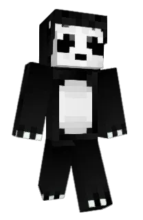 Front of iRods's skin