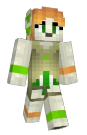 Skin preview