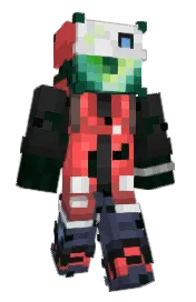 Skin preview