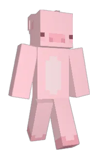 Front of PigDev's skin