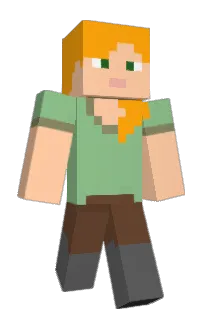 Front of TaxPayerMoney's skin
