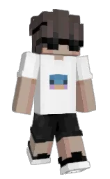 Minecraft skin — Classic model
