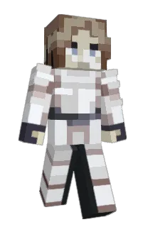 DomekSlayer's Minecraft skin