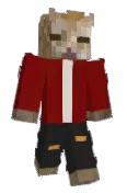 DENGE34