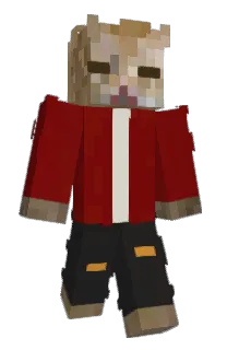 Front of DENGE34's skin