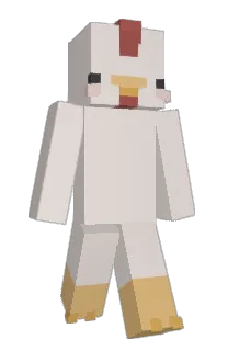 Front of scwones's skin