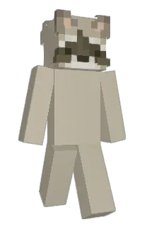 Front of madeie's skin