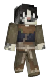 Skin preview