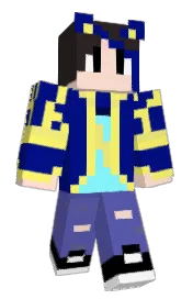 Skin preview