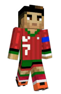 Front of 9kame's skin