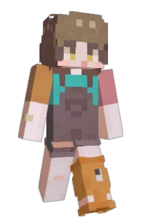 Front of ioicco's skin
