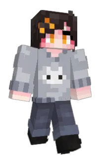 Front of zircat's skin