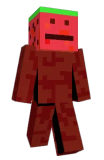 wisewatermelon's Minecraft skin