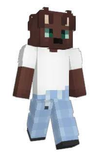 Front of Minecraft skin