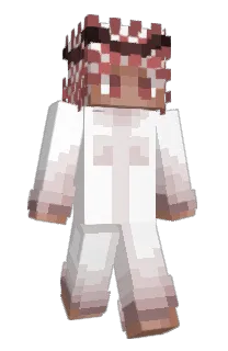 Front of Habbib's skin