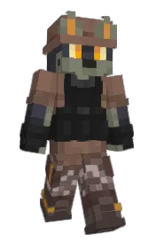 Skin preview