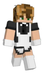Minecraft skin — Classic model