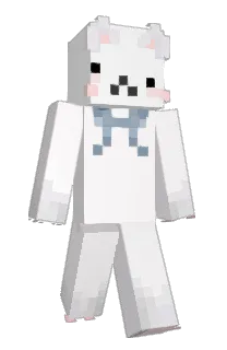 Front of spiralinia's skin